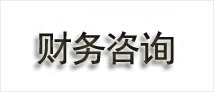 财务咨询